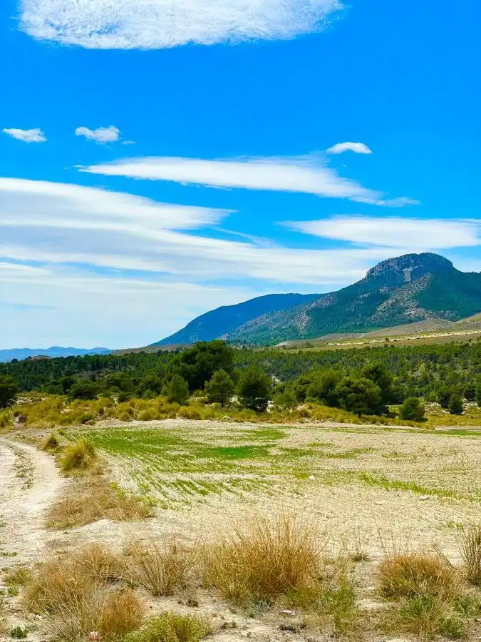 Terreni e lotti in vendita a Pedanías Norte, imagen 8