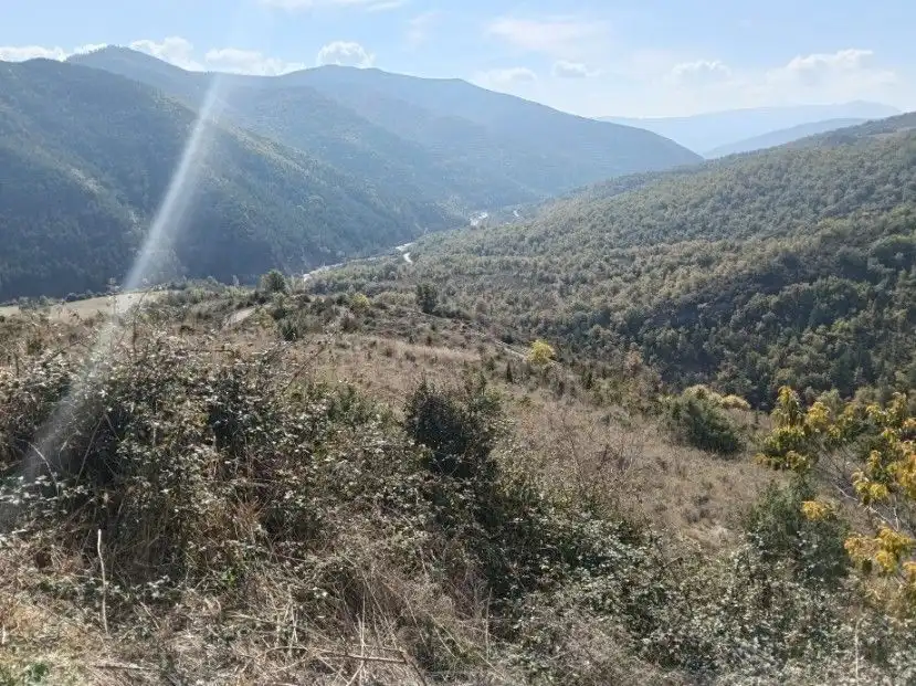 Terreni e lotti in vendita a Alta, imagen 4
