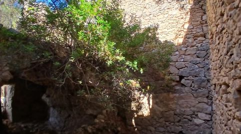 Finca rústica con maset en Arnes, immagine 5