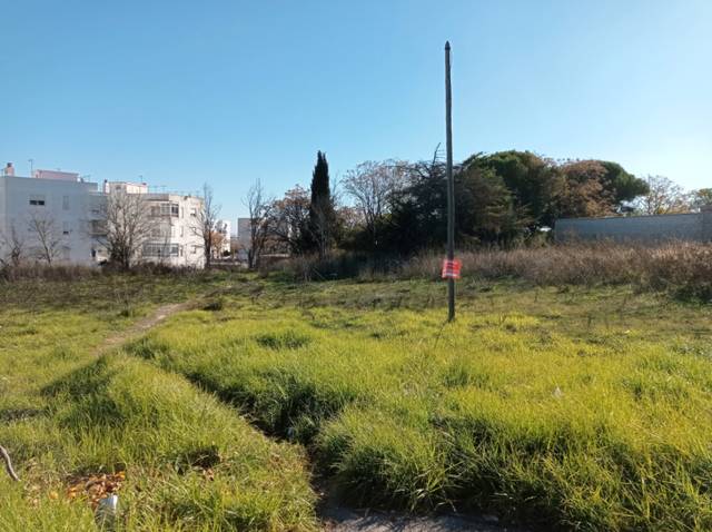 Terreno residencial en Alquiler en Carretera de Sanlúcar - Sudamérica