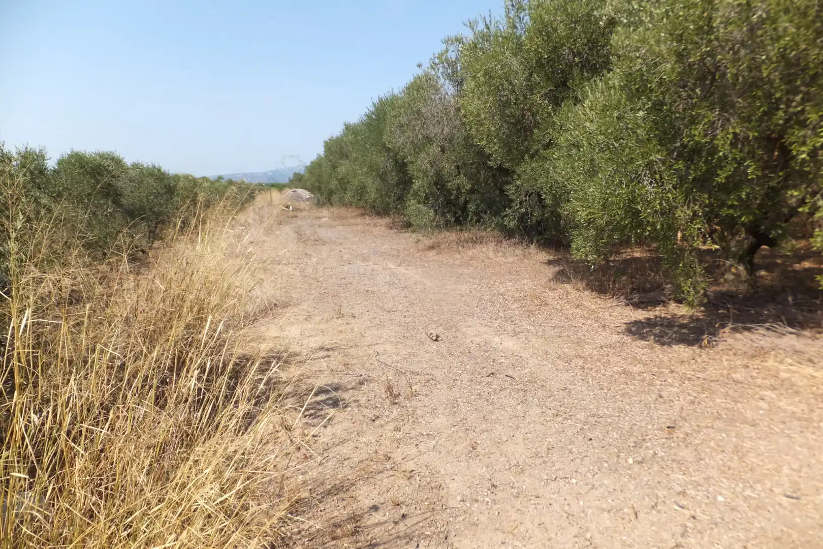 Terreno rústico en venta en Vial Camino 20, imagen 15