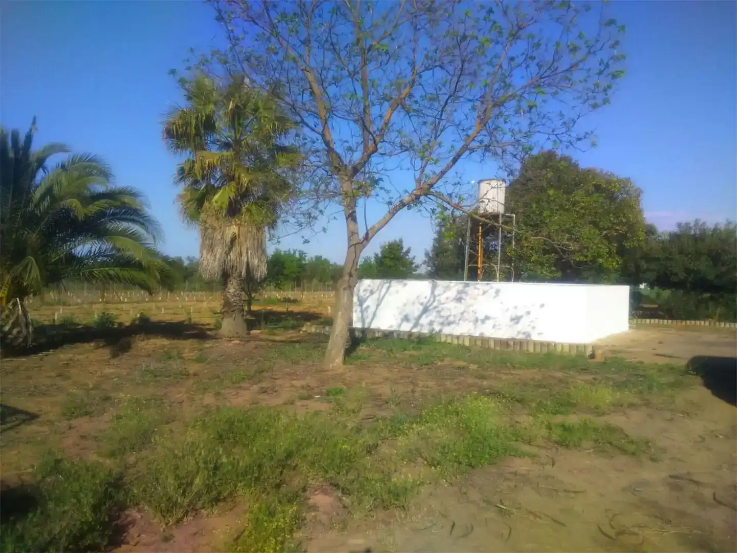 Finca rústica en venda en Valdepasillas - La Paz - Huerta Rosales