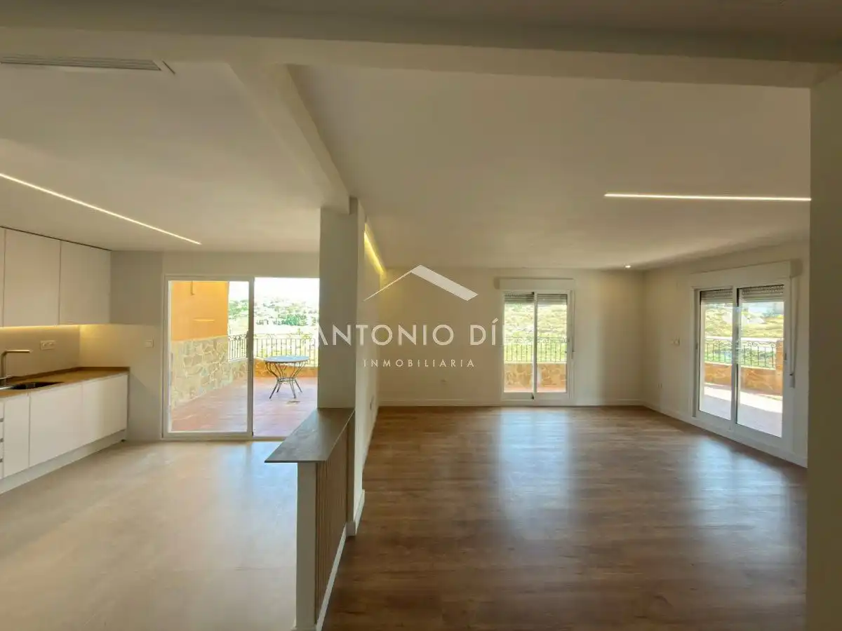 Sala d'estar de Àtic en venda en Aspe amb Aire condicionat, Terrassa i Traster