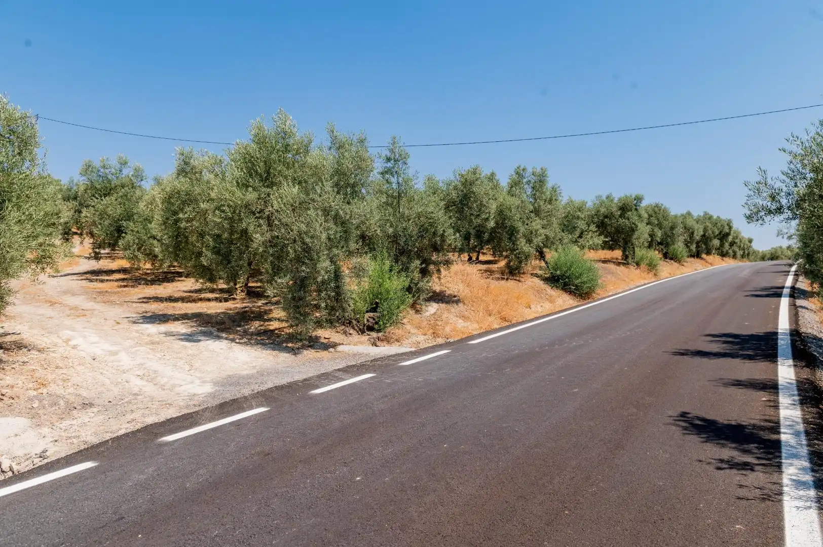 Land for sale in Archidona