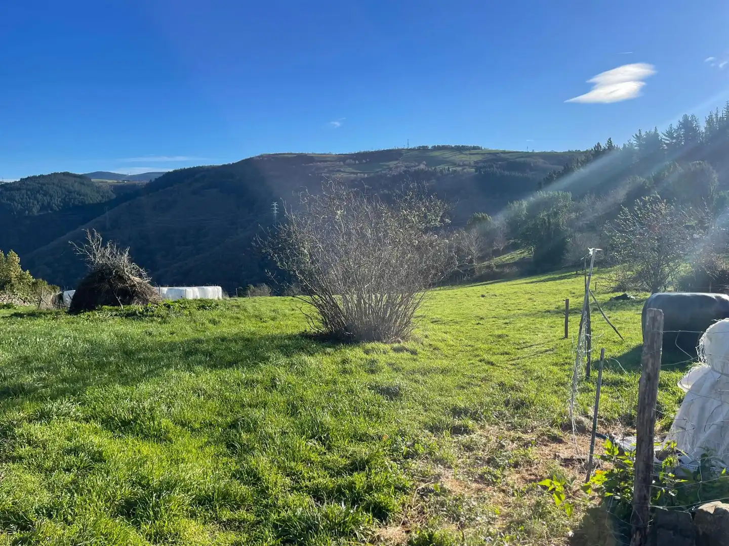 Casa o chalet en venta en Grandas de Salime