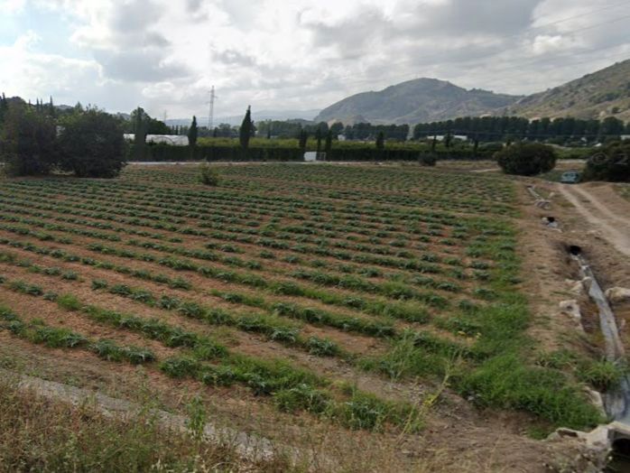 Grundstücke zur Miete in Caravaca de la Cruz