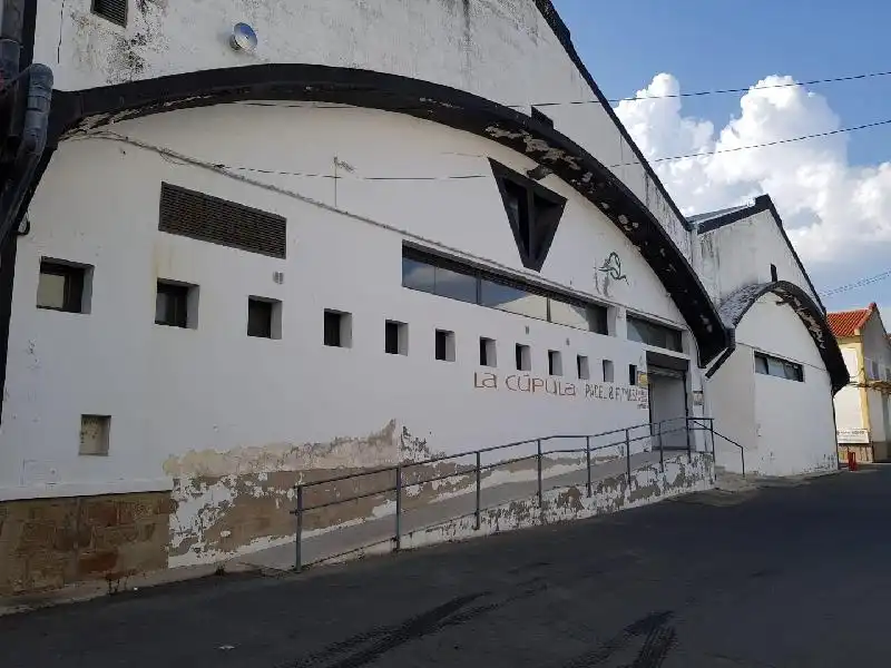 Industrial building to rent in Zona Sur - Av. de España - San Miguel, imagen 2
