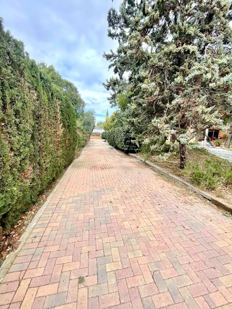 Vista exterior de Casa o xalet en venda en Alicante / Alacant amb Aire condicionat, Calefacció i Jardí privat