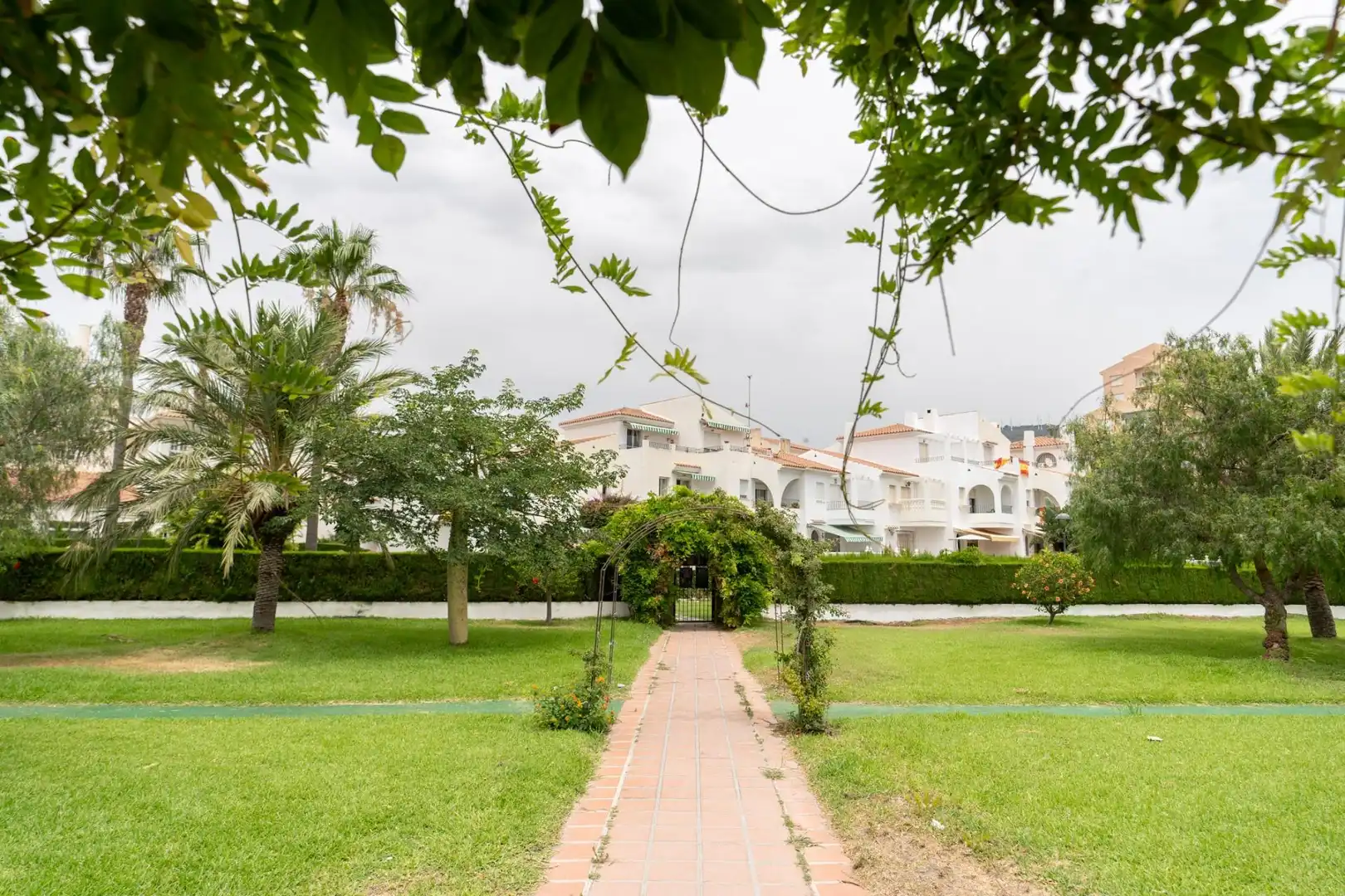 House with terrace for sale in Calle Calle Andrómeda, imagen 33