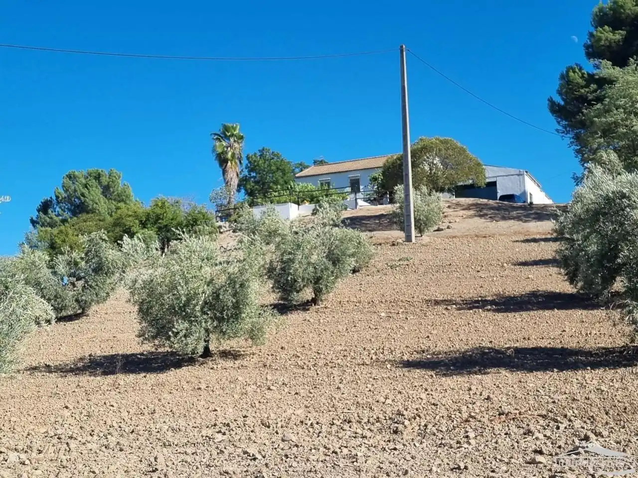 Haus mit Pool zum Verkauf in Cortijo Grande, imagen 10