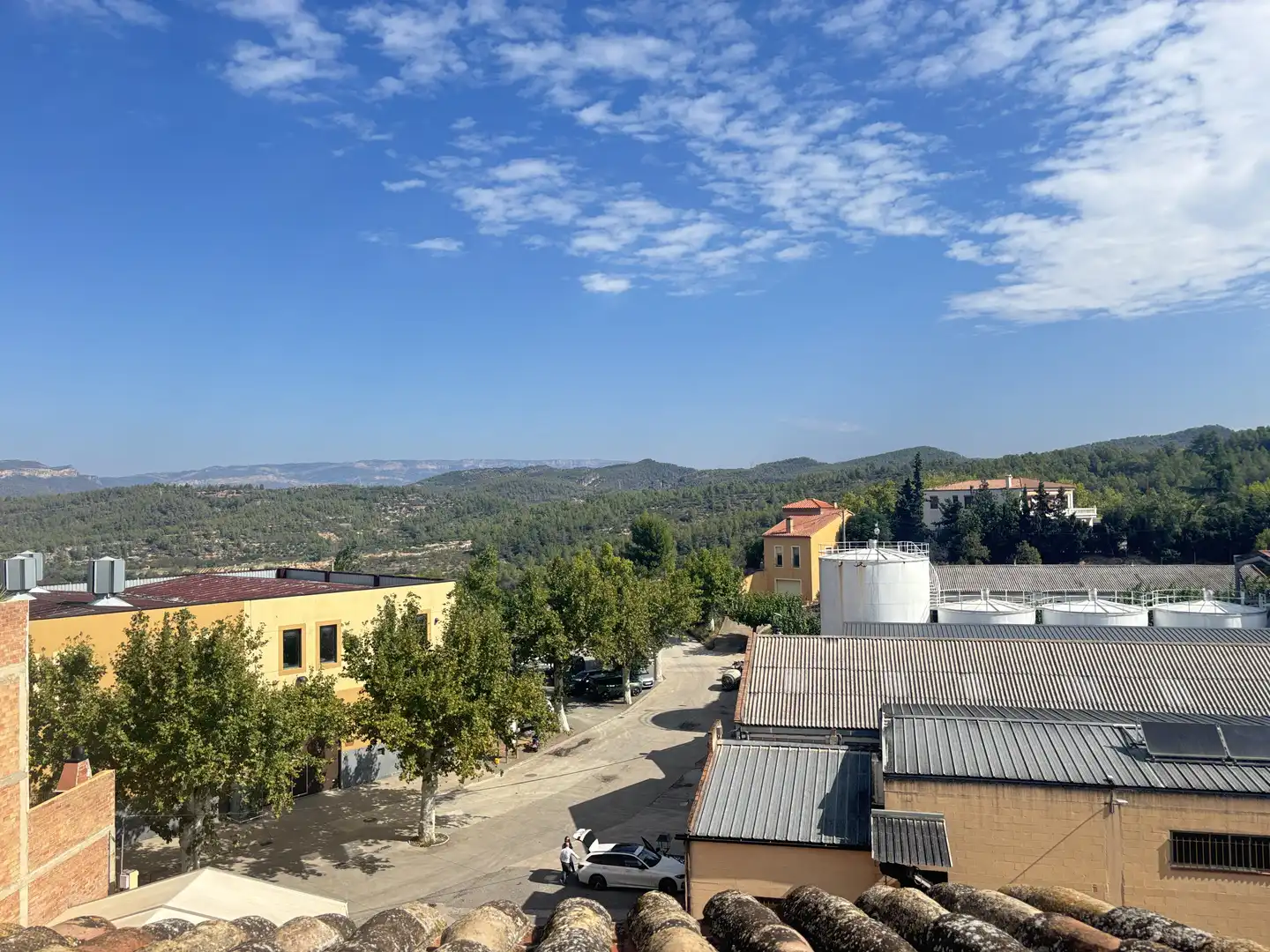 Exterior view of Country homes for sale in El Masroig