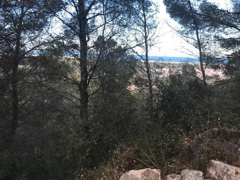 Terreny rústic en venda a La Font d'en Carròs, imagen 3