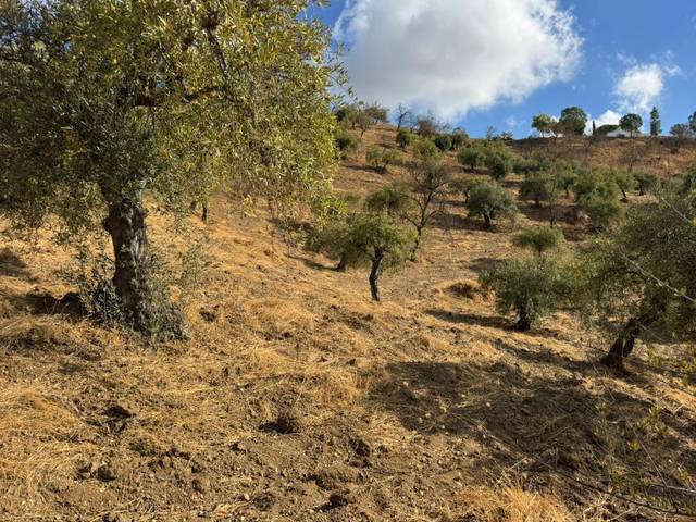 Terreno residencial en Venta en Alozaina