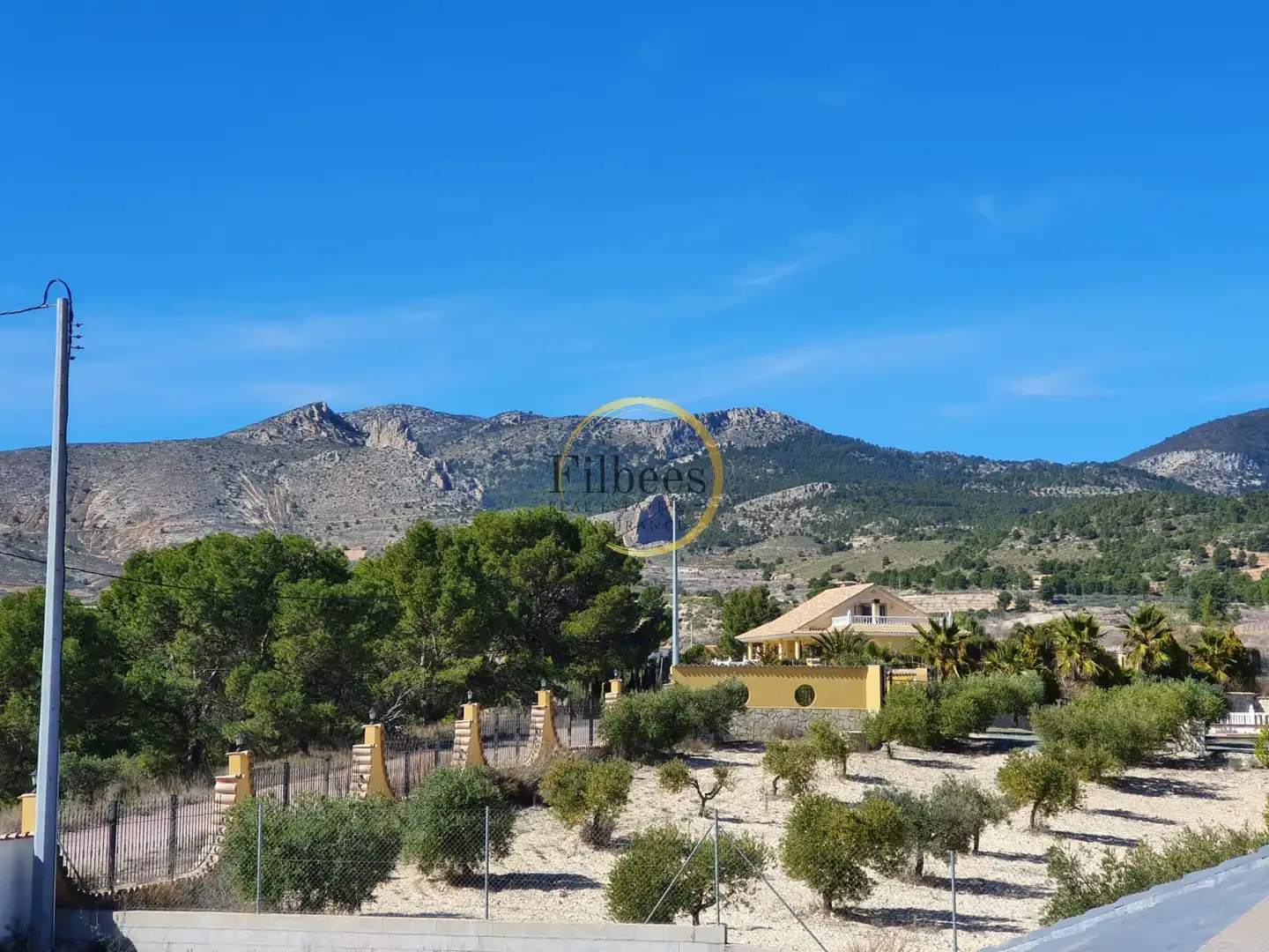 Vista exterior de Finca rústica en venda en Lorca amb Jardí privat, Terrassa i Moblat