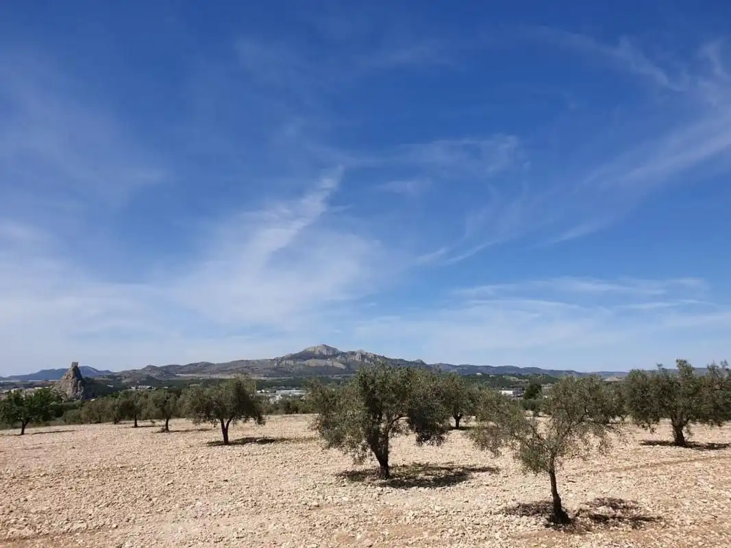 Residential land for sale in Sax, imagen 3