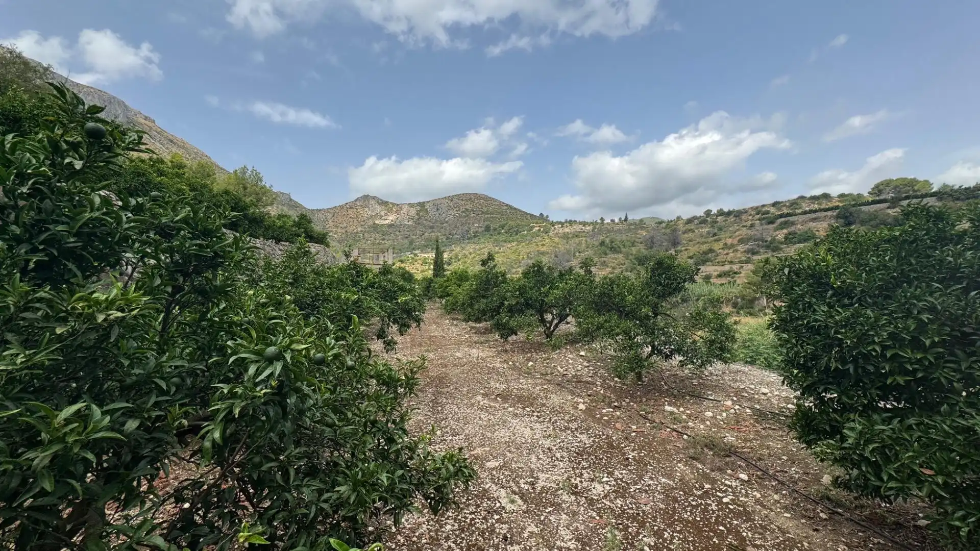 Residencial en venta en L'Atzúbia