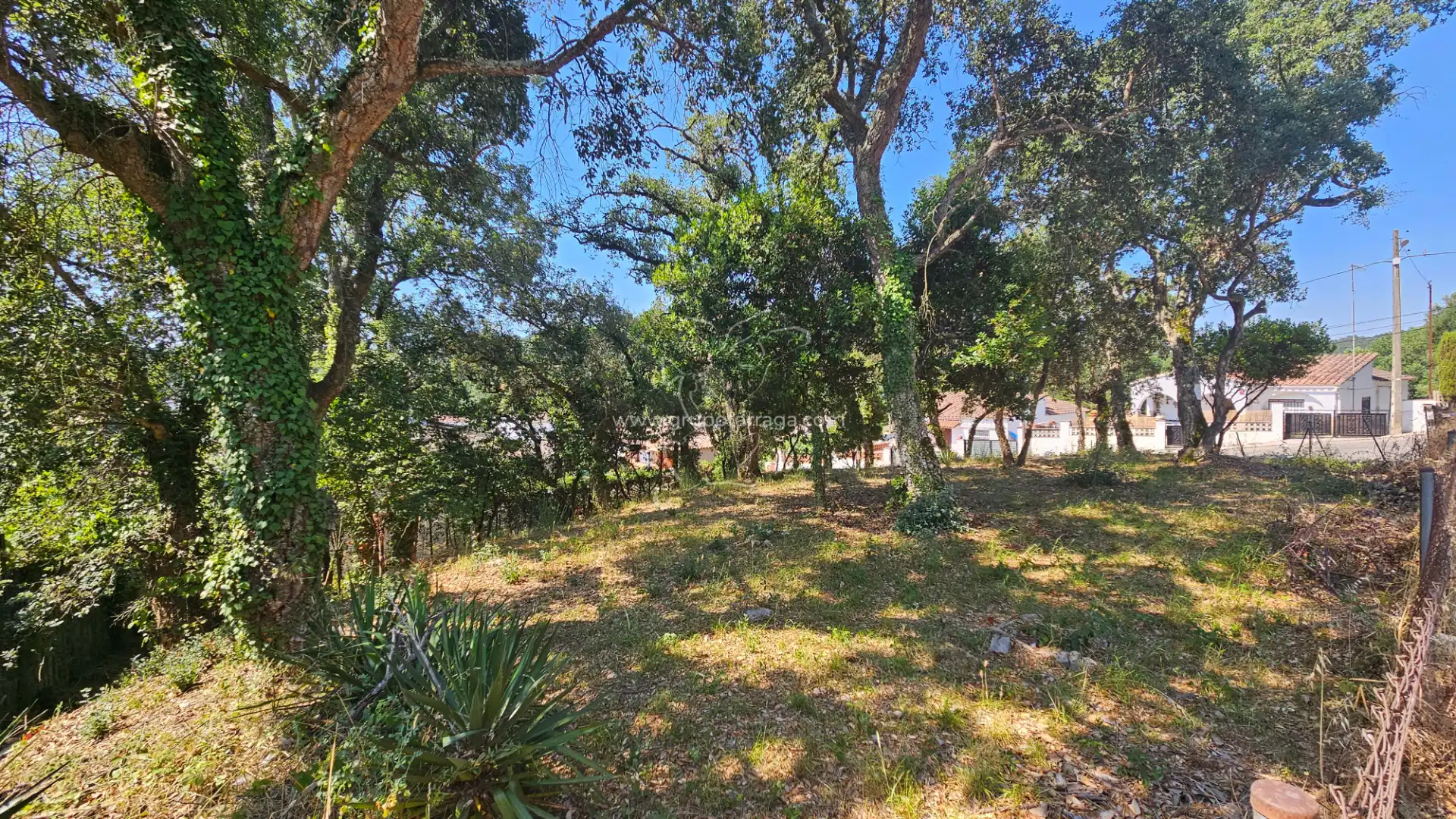 Terreny residencial en venda a Carrer Llorer 1, imagen 3