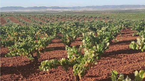Foto 5 de Finca rústica en venta en Valdelasierpe, Santa Marta, Badajoz