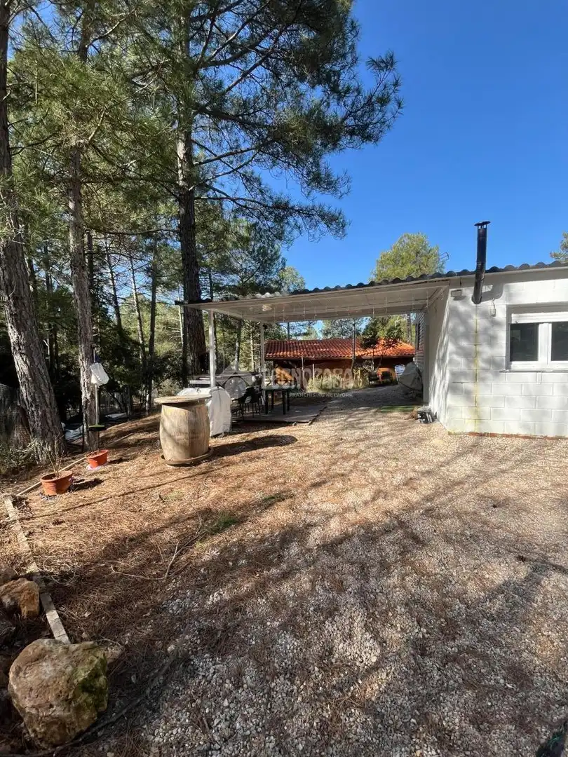 Terraza de Residencial en venta en Trillo