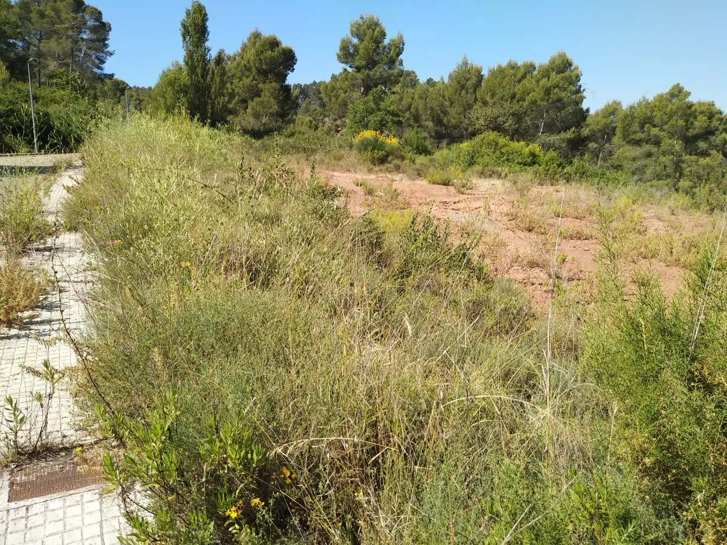 Wohnbaugrundstück zum Verkauf in Carrer Ramon Martí Alsina 7, imagen 6