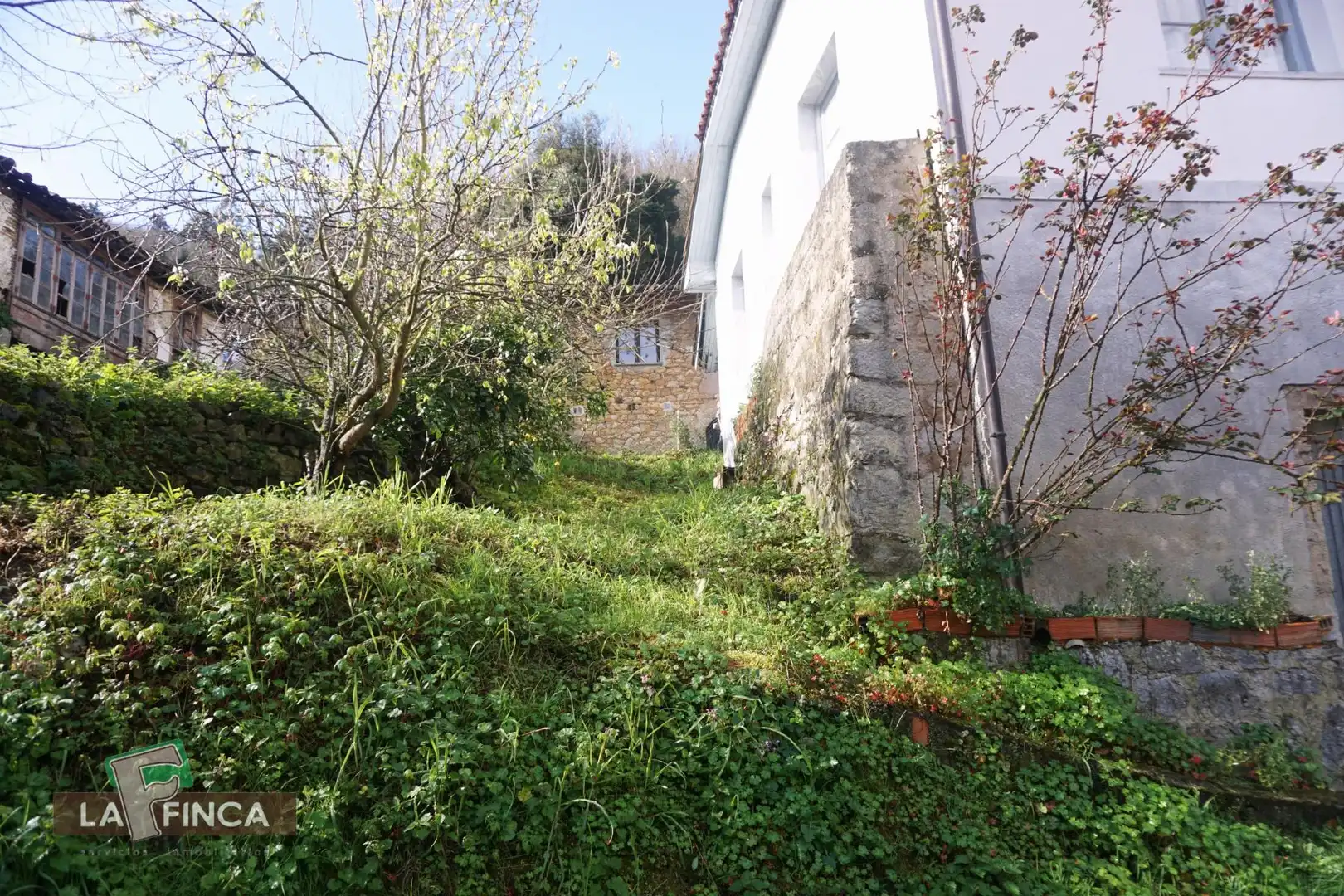 Jardín de Casa o chalet en venta en Belmonte de Miranda