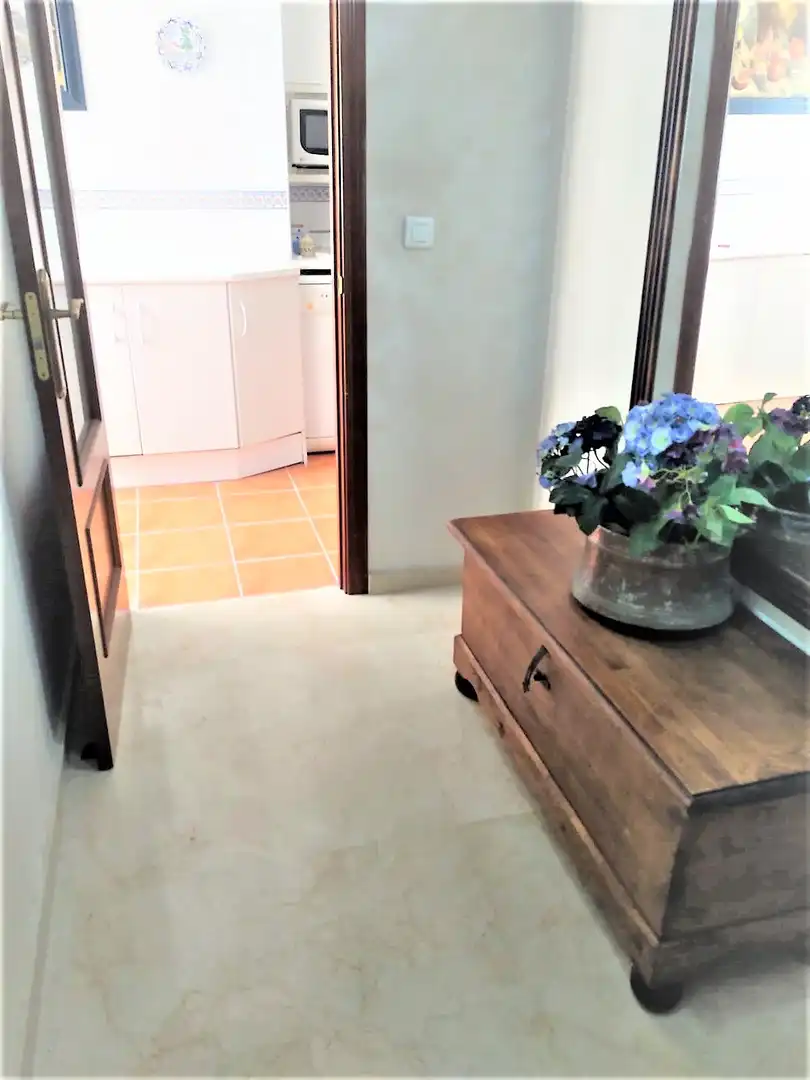 Apartments for rent in Centro