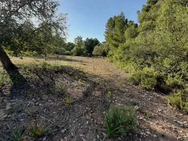 Terrain rustique à vendre à Sant Joan