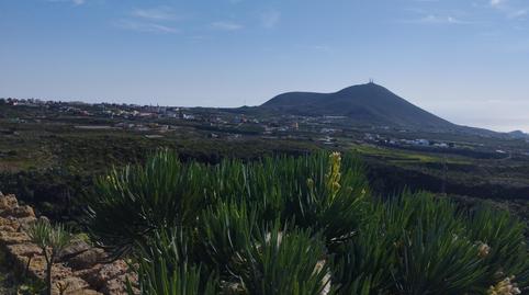 Photo 3 of Country house for sale in San Miguel, San Miguel de Abona