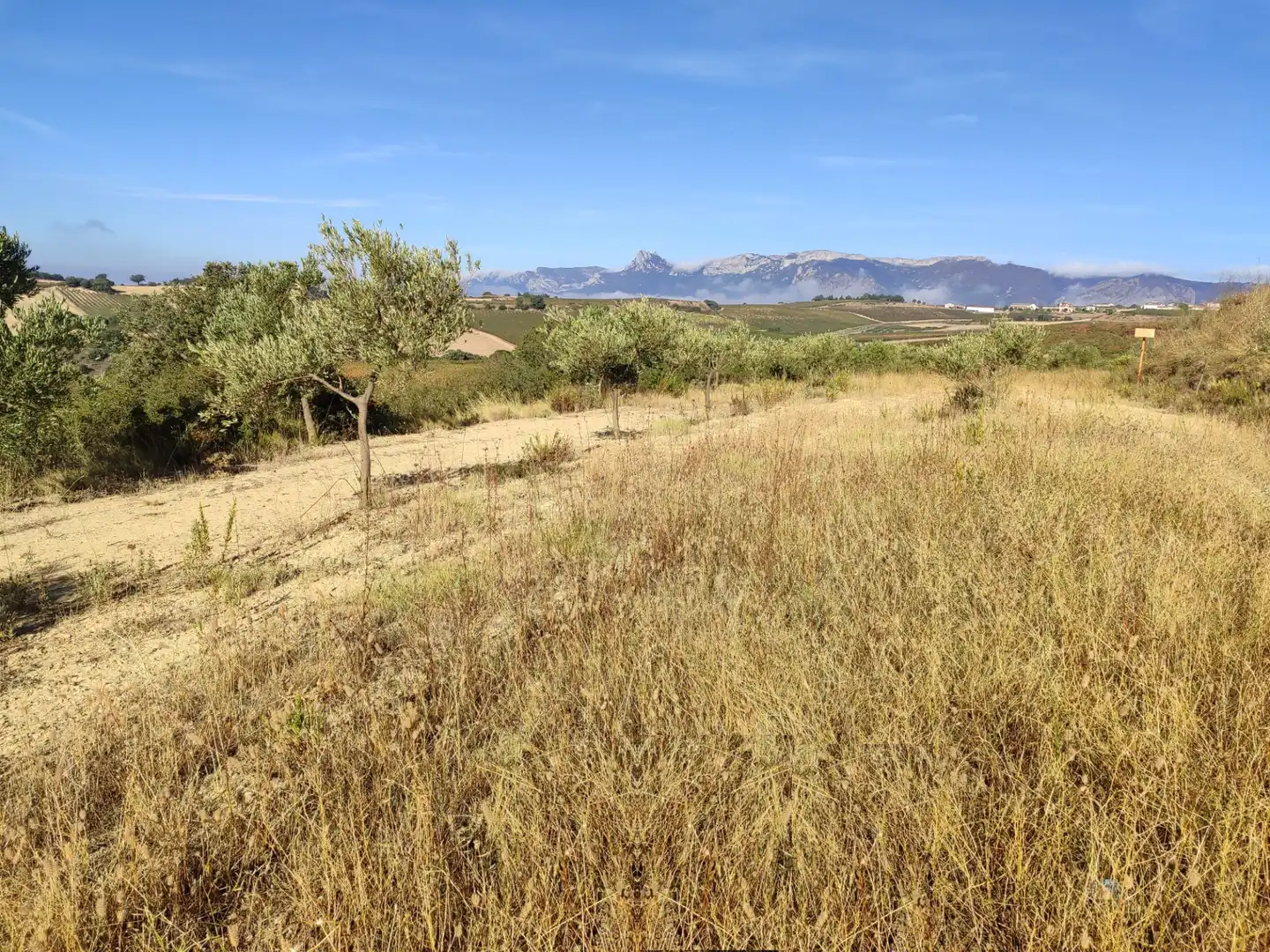 Land for sale in Yécora / Iekora