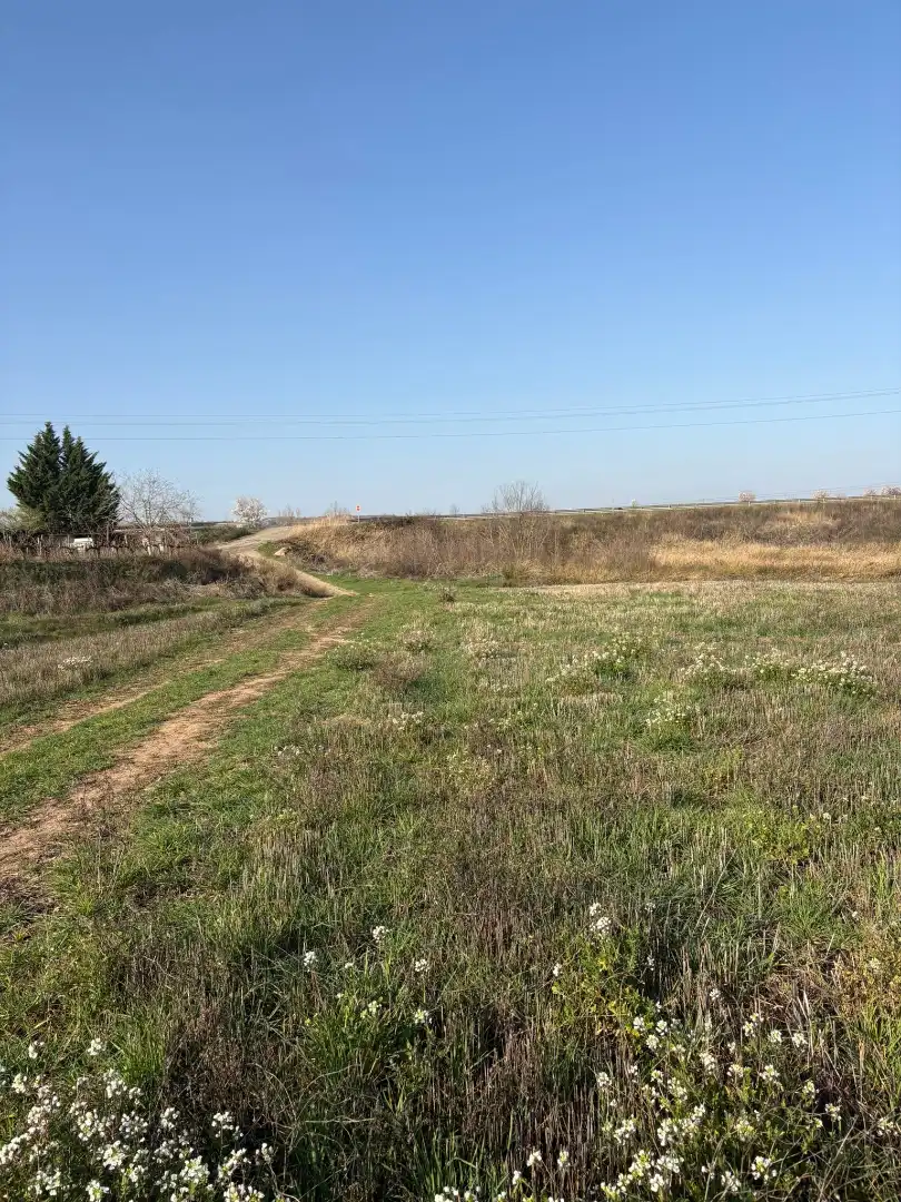 Terrenys i solars en venda a Alberite