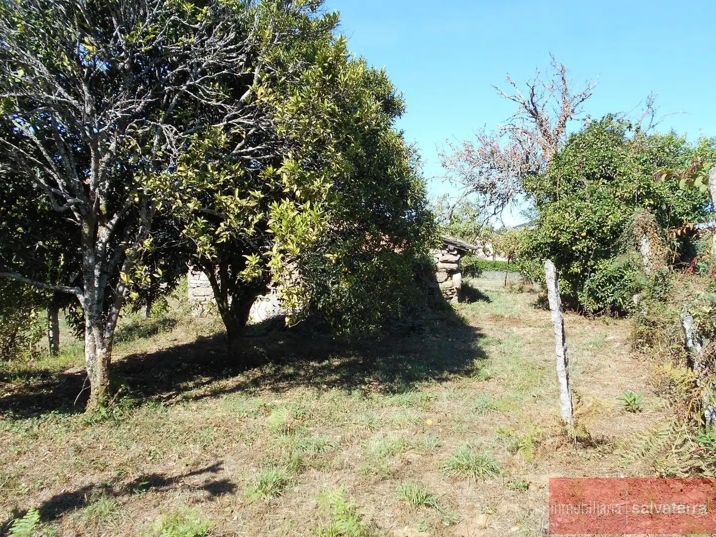 Terreny residencial en venda a Salvaterra de Miño, imagen 4