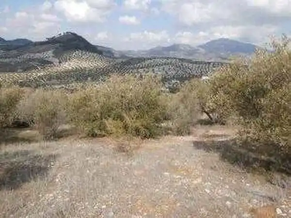Terreni e lotti in vendita a Alcaudete, imagen 19
