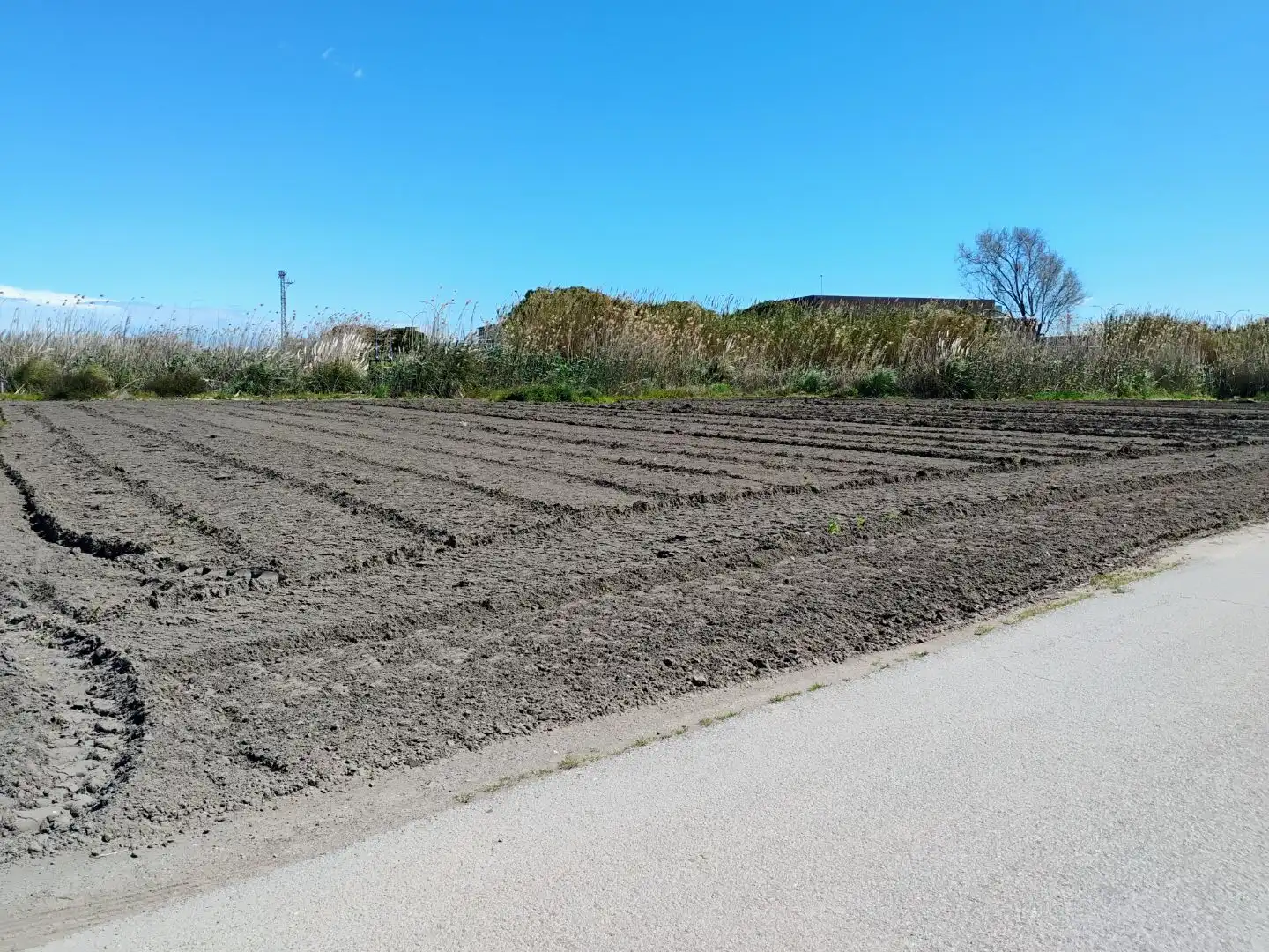 Terreny rústic en venda a Camí de les Parets a la Murtra 30, imagen 3