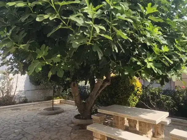 Terraza de Piso en venta en Piera, Barcelona