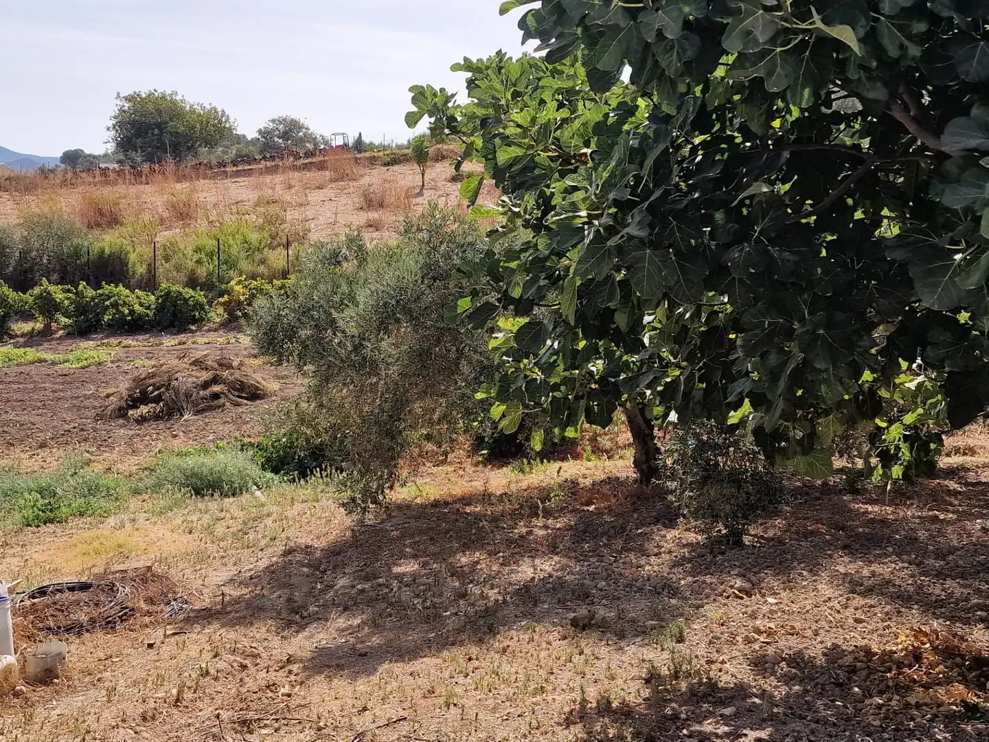 Finca rústica en venta en Algar con Aire acondicionado