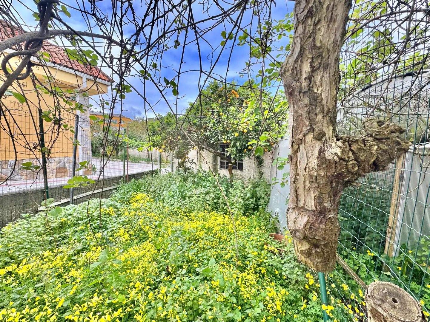 Houses for sale in Arteixo  with Heating, Private garden and Parquet flooring