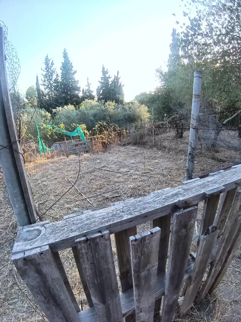 Maison rustique avec piscine à vendre à L'Aleixar, imagen 38