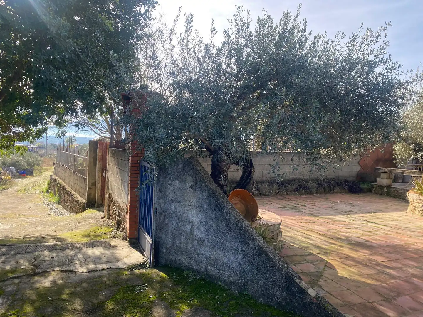 Finca rústica en venda a Benigànim