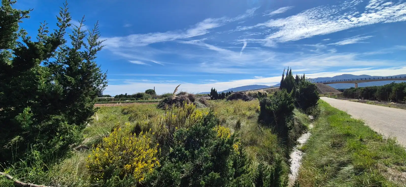Terrain rustique à vendre à Segador de Samuel, imagen 4