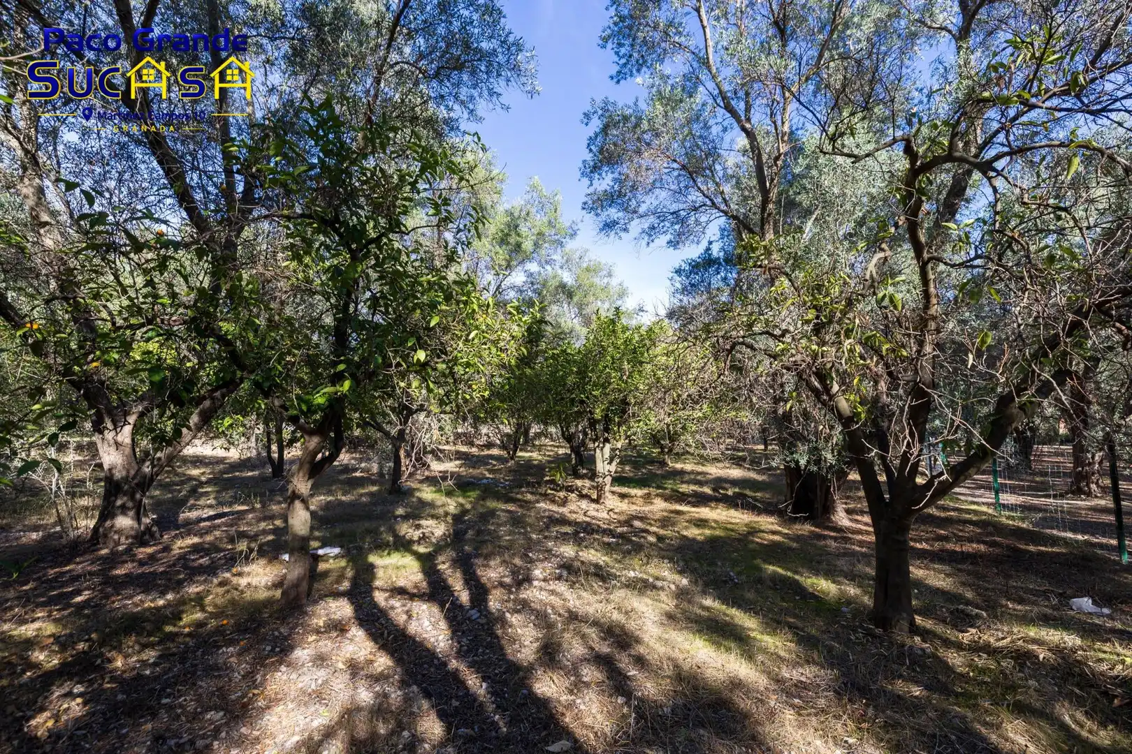 Terreno rustico in vendita a PINOS DEL VALLE, imagen 12