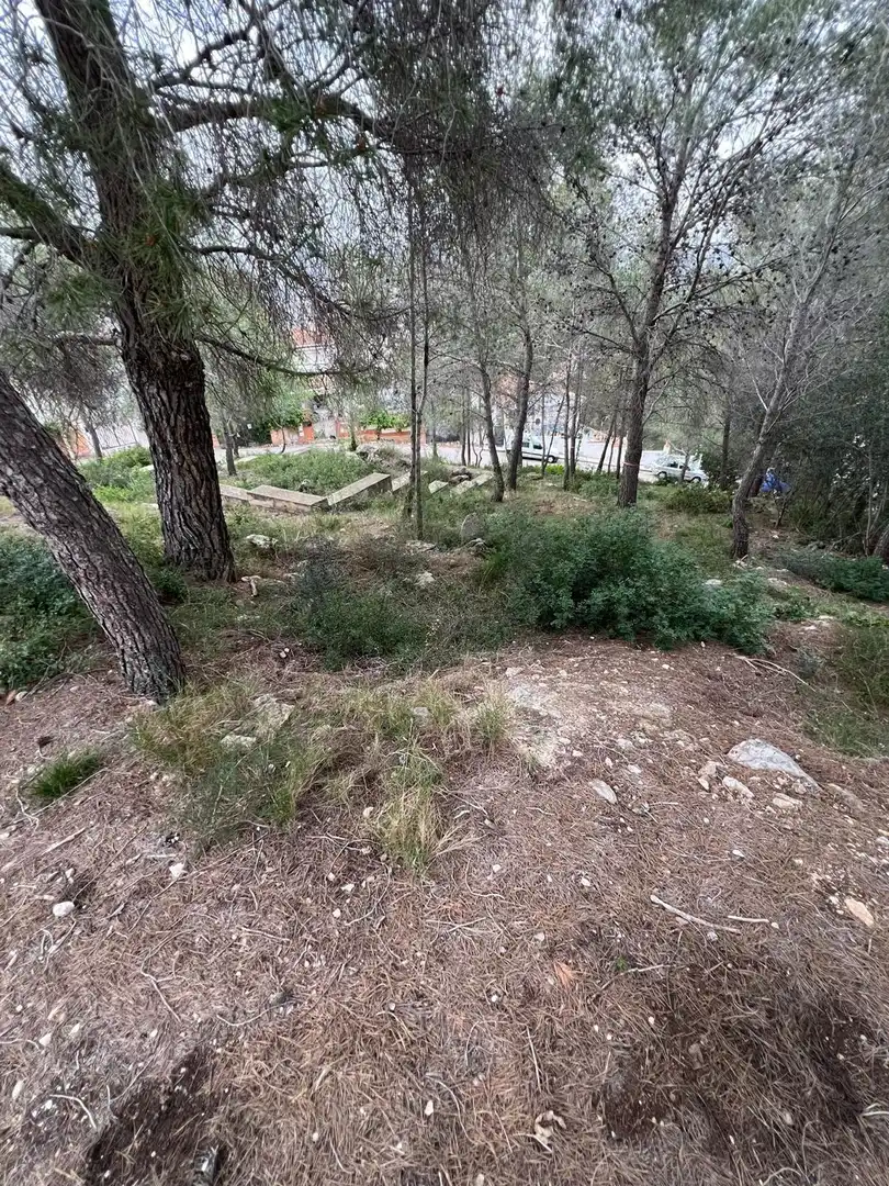 Residential land for sale in Avenida de Can Gordei 113, imagen 23