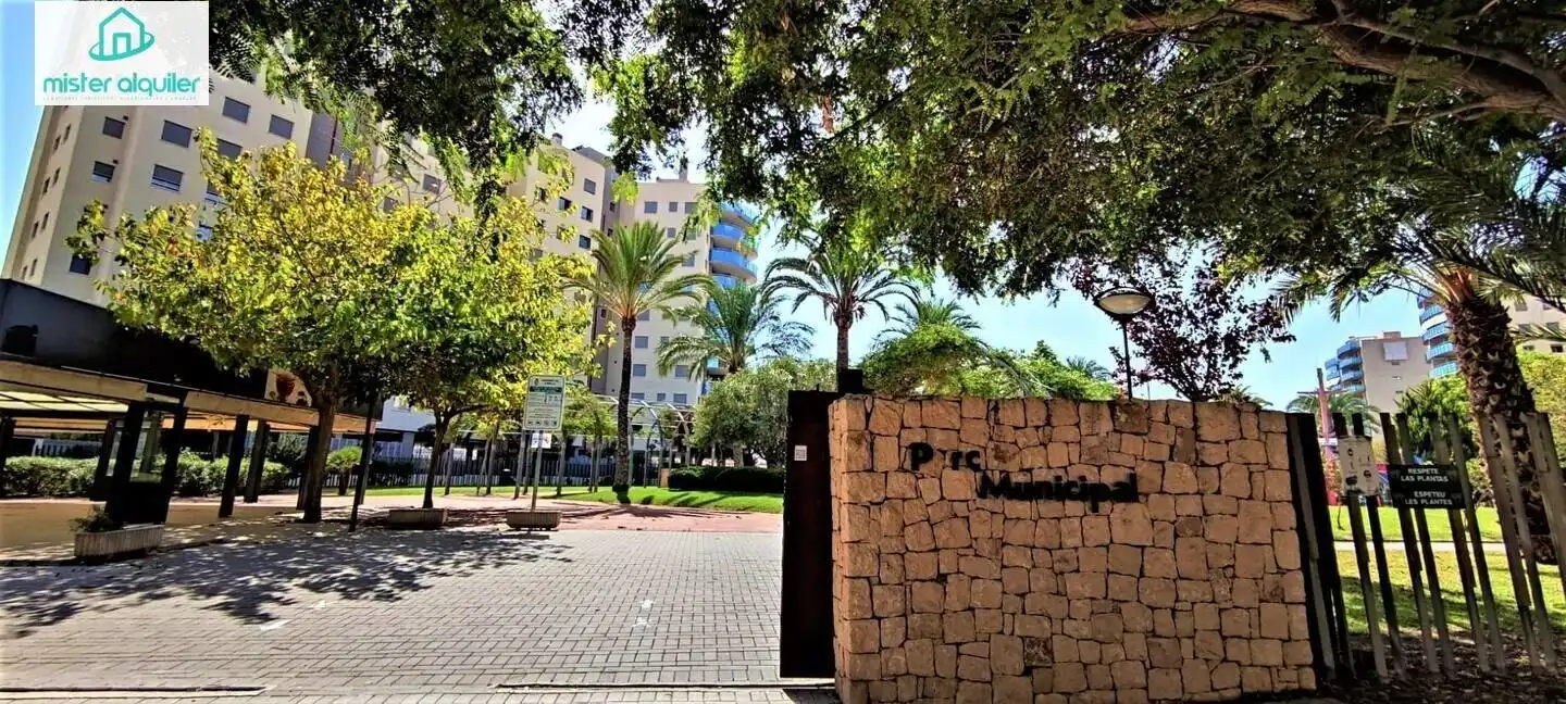 Apartment with terrace to rent in Calle MAR ALTA 10, imagen 77