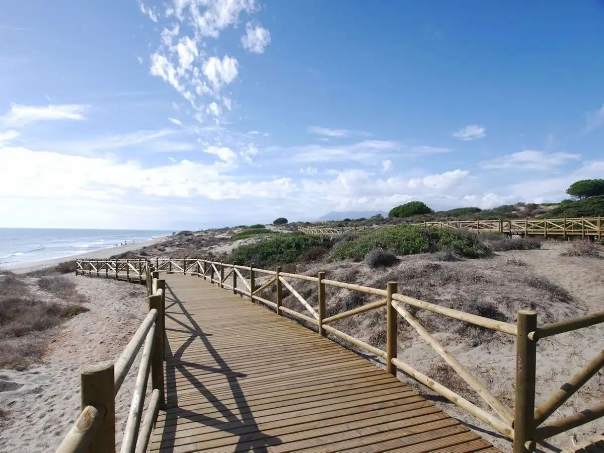 Vista exterior de Casa o xalet en venda en Marbella amb Aire condicionat, Jardí privat i Terrassa