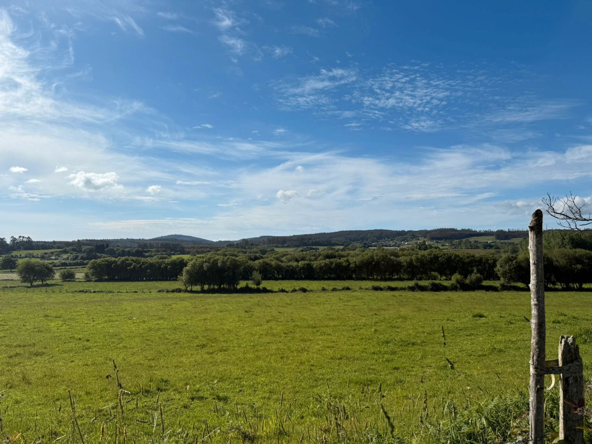 Residential for sale in Moeche