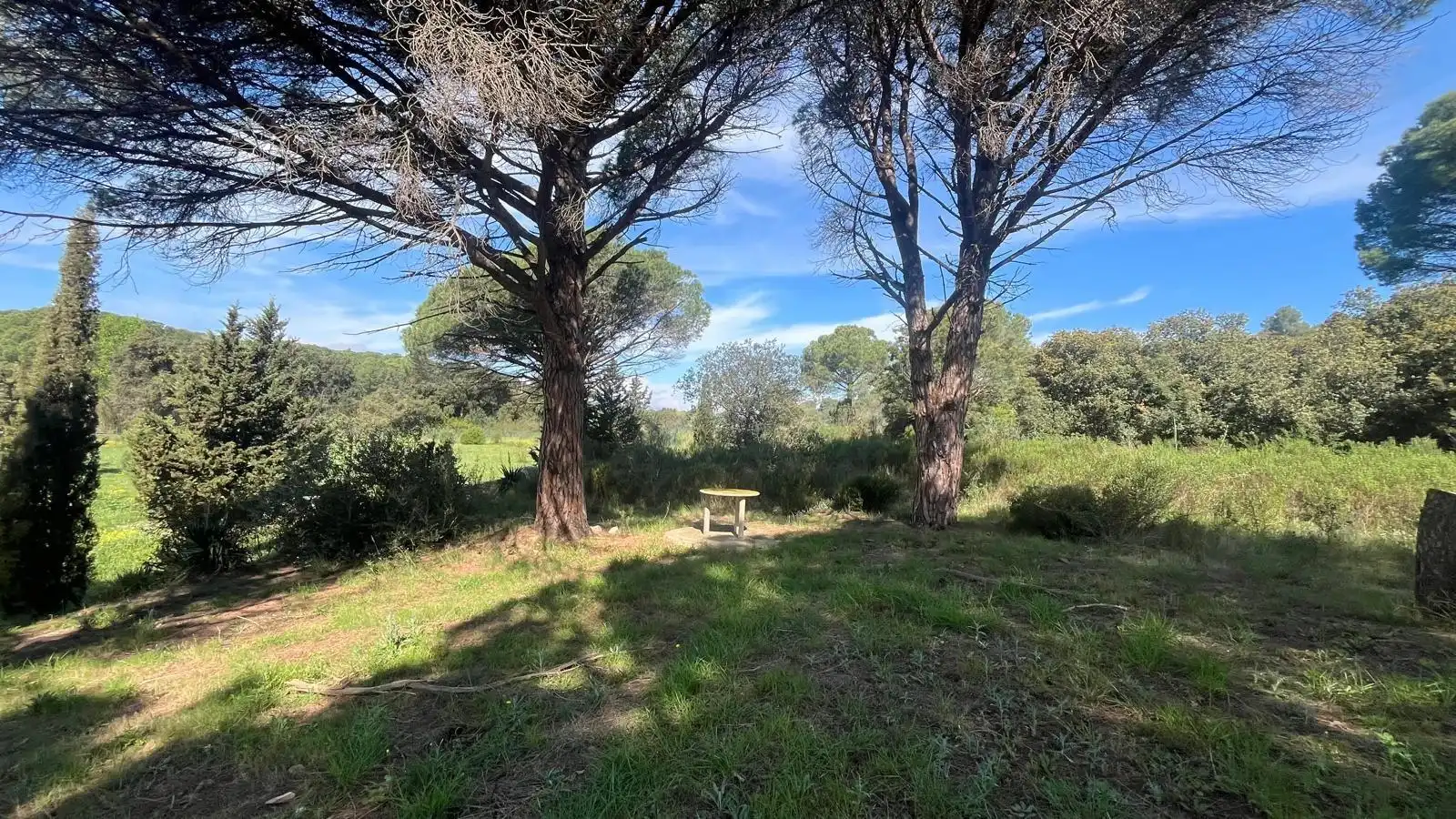 Terreny rústic en venda a Sant Climent Sescebes, imagen 15
