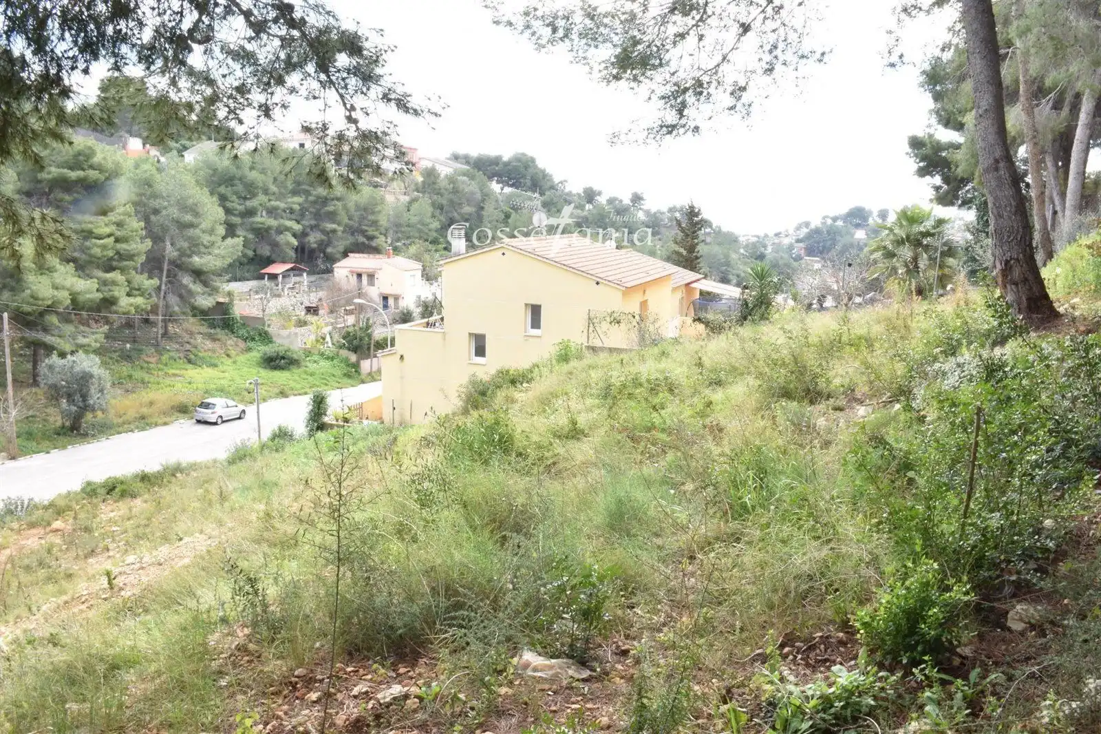 Rural land for sale in GLADIOL, imagen 6