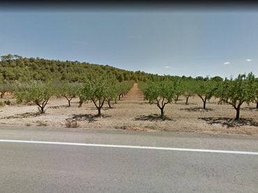 Terreny rústic en venda a Casinos