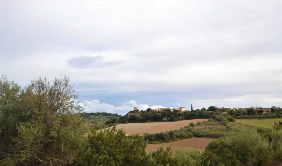 Lands and plots for sale in Calle RAMON LLULL, imagen 2