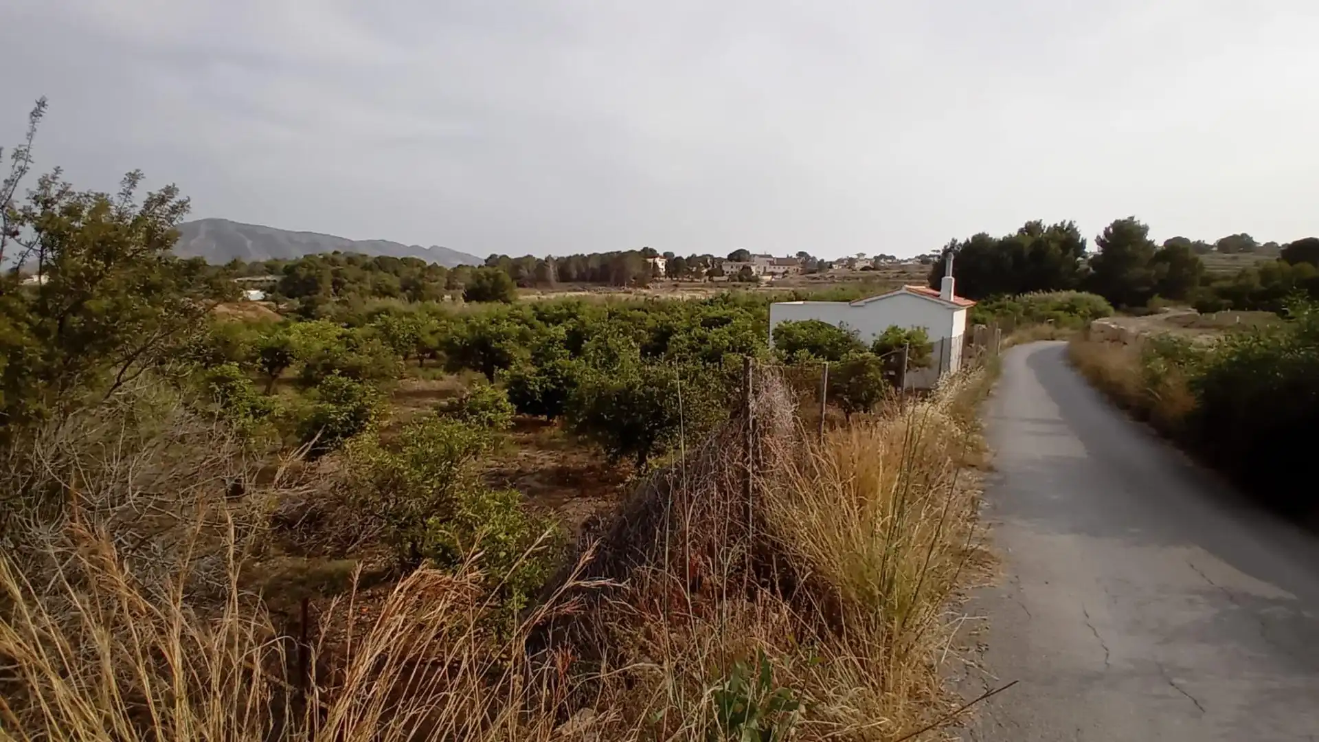 Rural land for sale in Altea ciudad, imagen 19