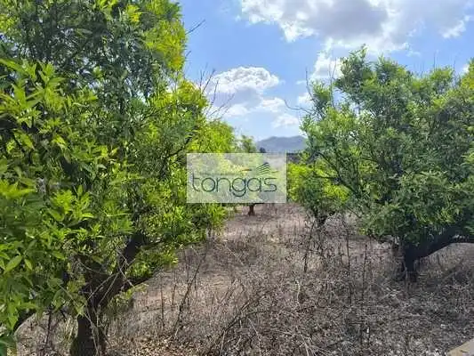 Terreny rústic en venda a Vallés, imagen 10